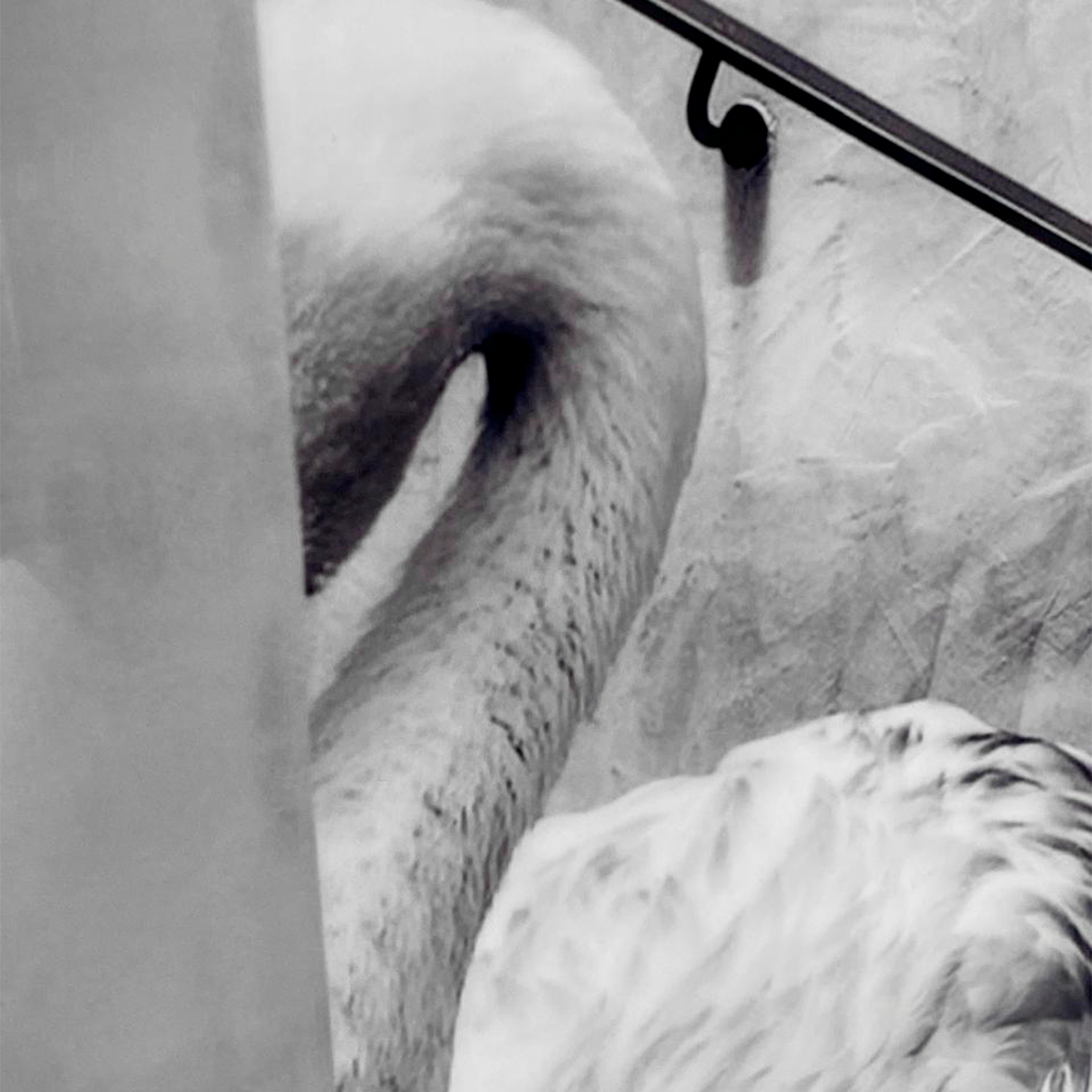 Cuadro Decorativo Flamenco