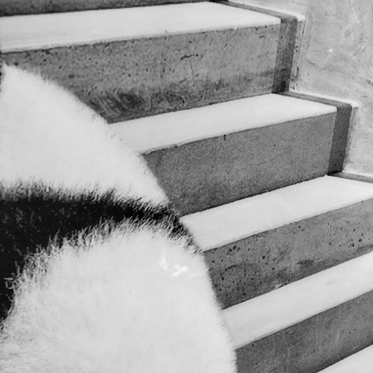 Cuadro Decorativo Panda