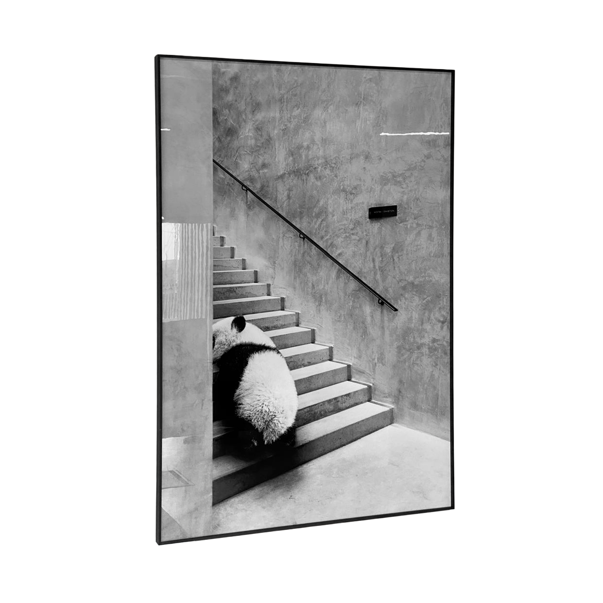 Cuadro Decorativo Panda