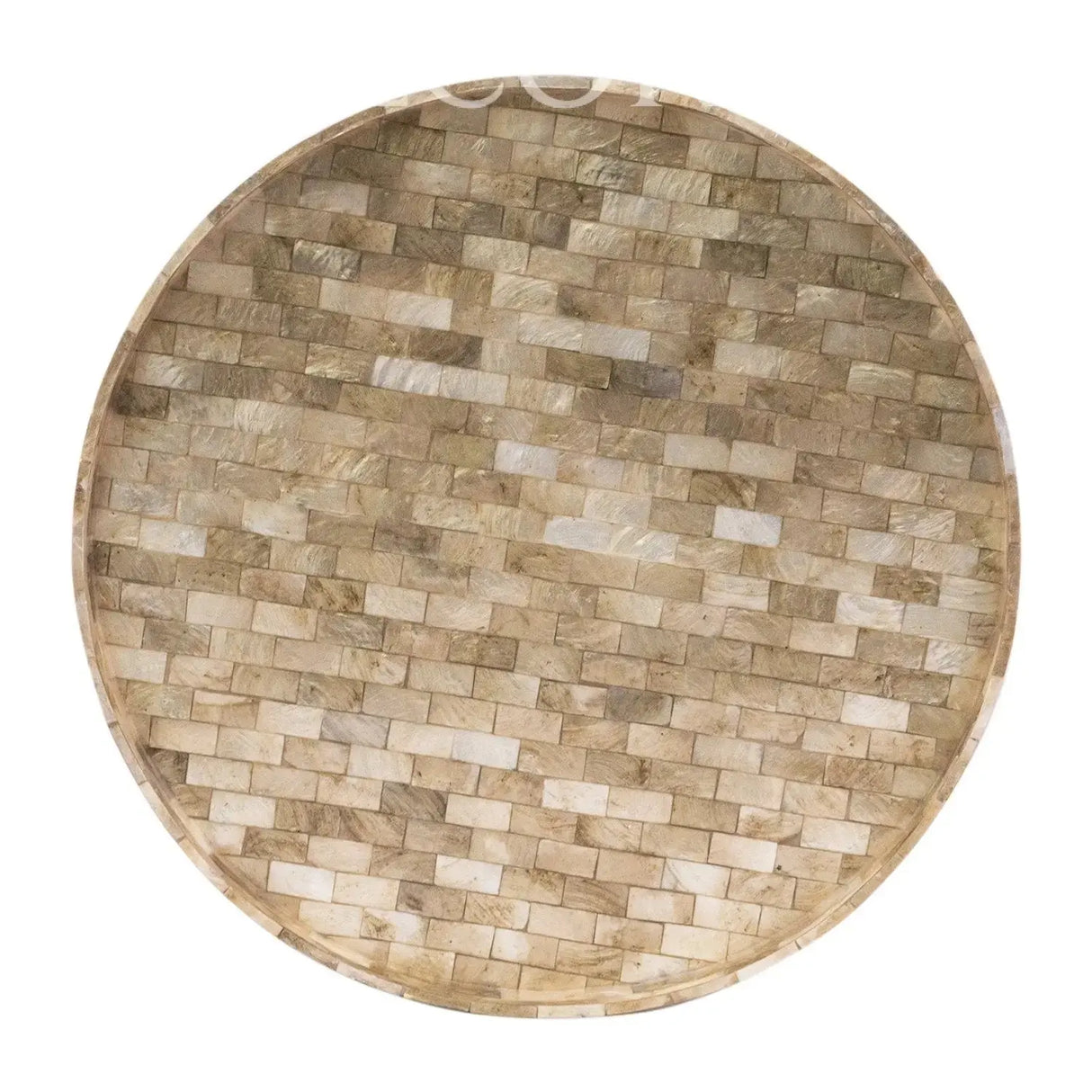 Bandeja Redonda Concha Nacar