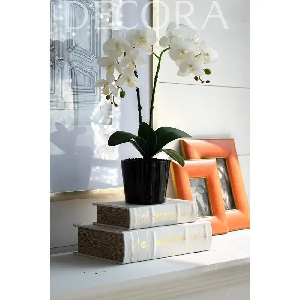 Caja Libro Francia - Set de 2 Re Decora