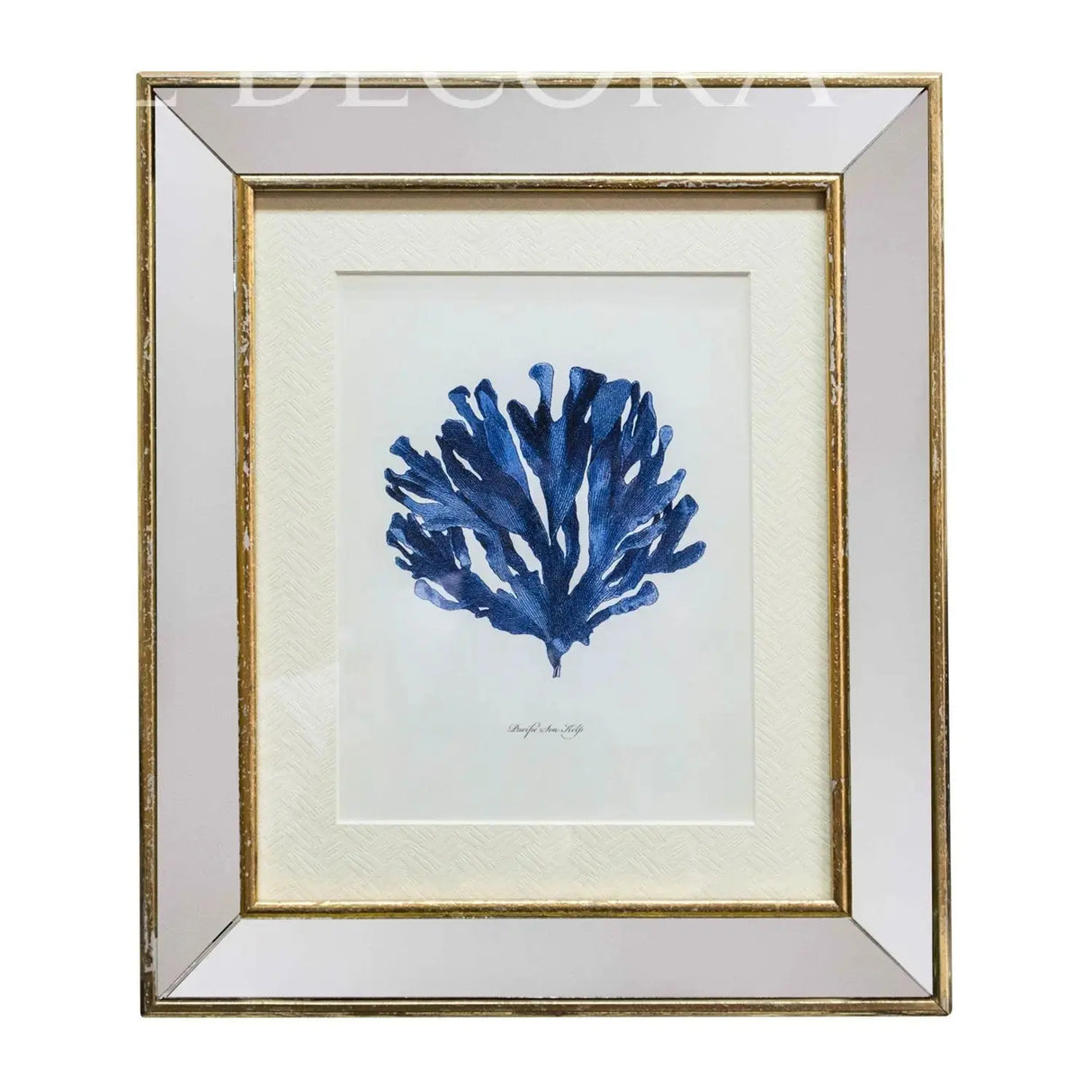 Cuadro Algas Azul Pacific Marco Espejo Doré