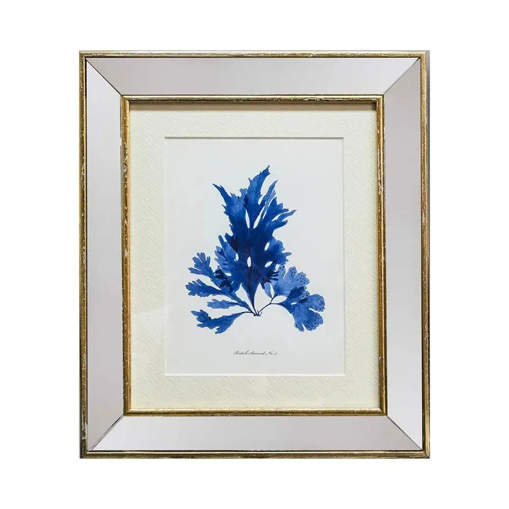 Cuadro Coral Azul marco espejo doré