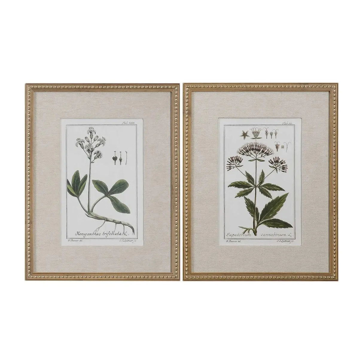 Cuadro Botánico Floral Verde - Set de 2 Re Decora