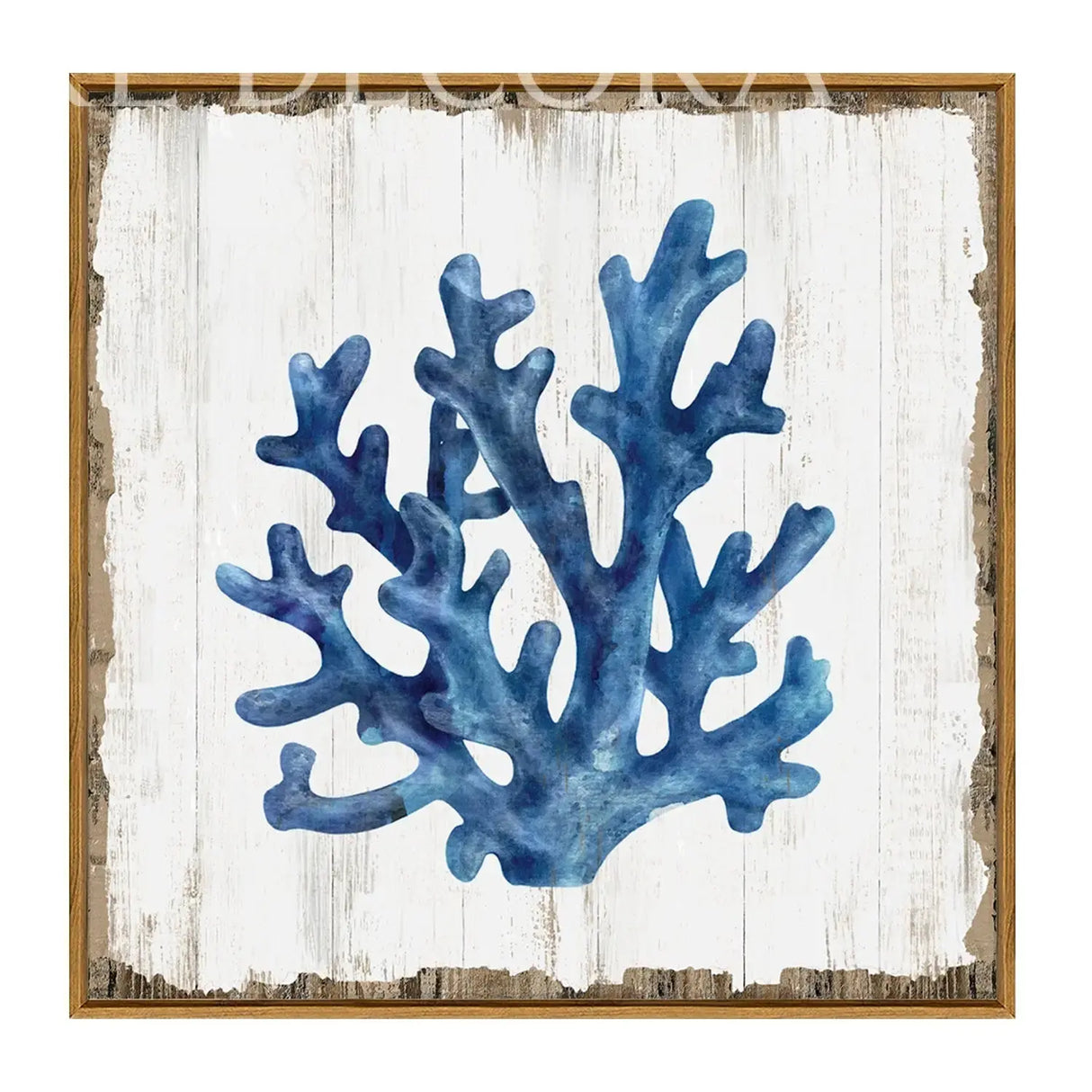 Cuadro Coral Azul Re Decora