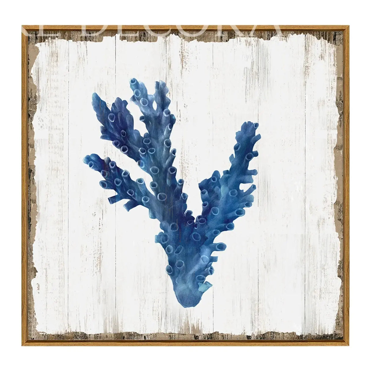 Cuadro Coral Azul Re Decora