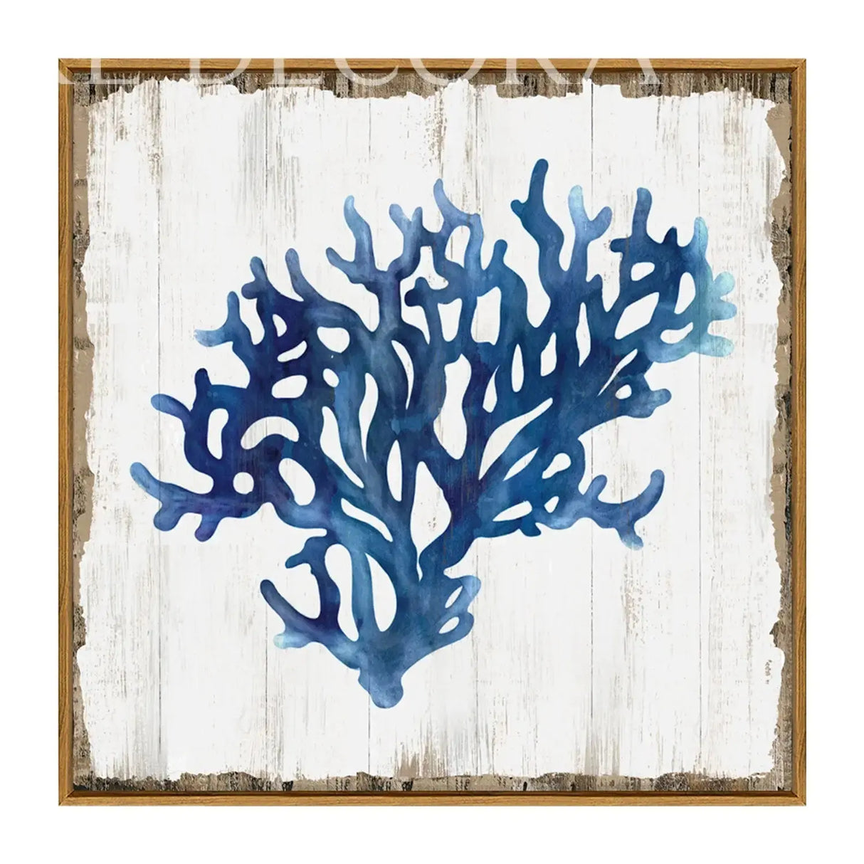 Cuadro Coral Azul Re Decora