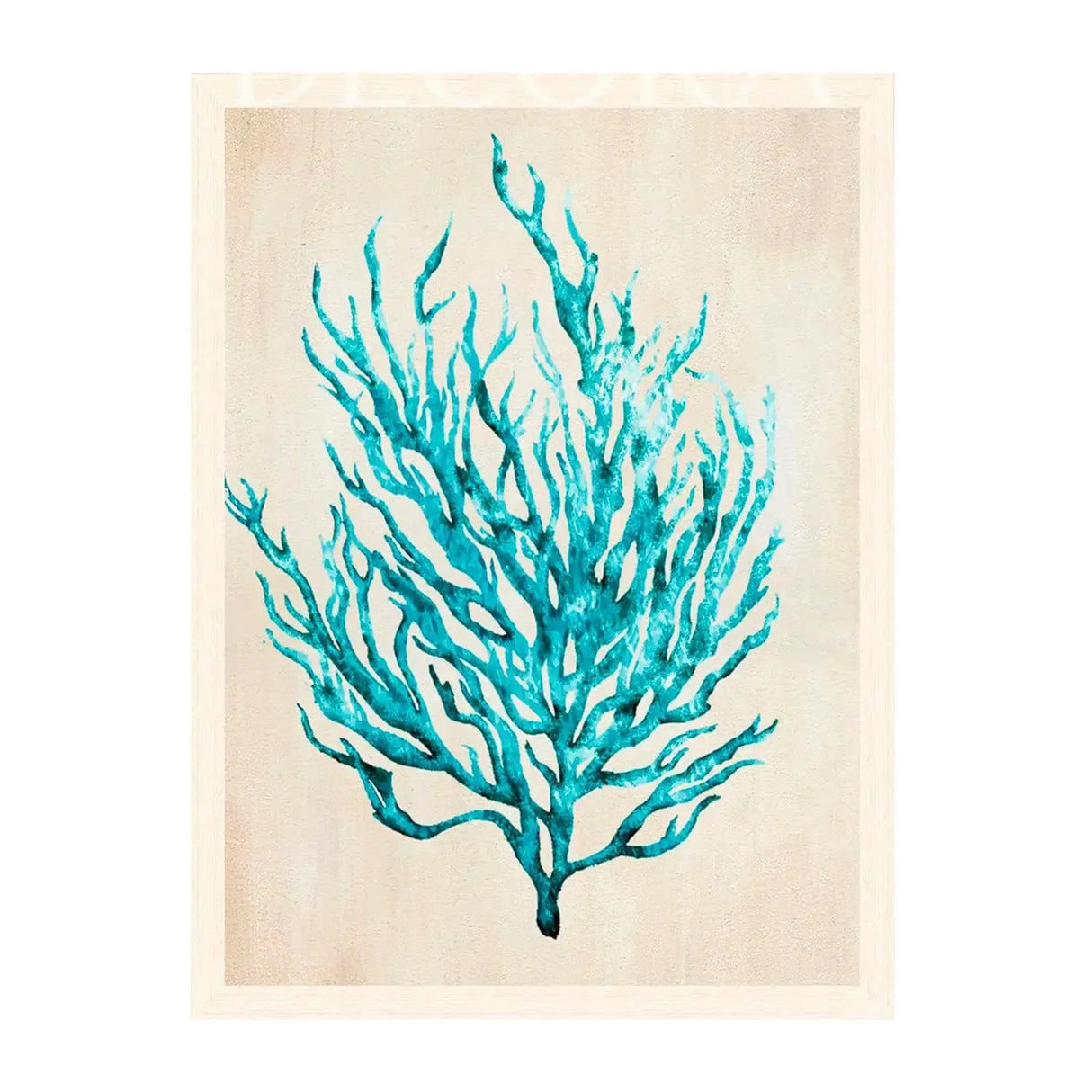 Cuadro coral calipso