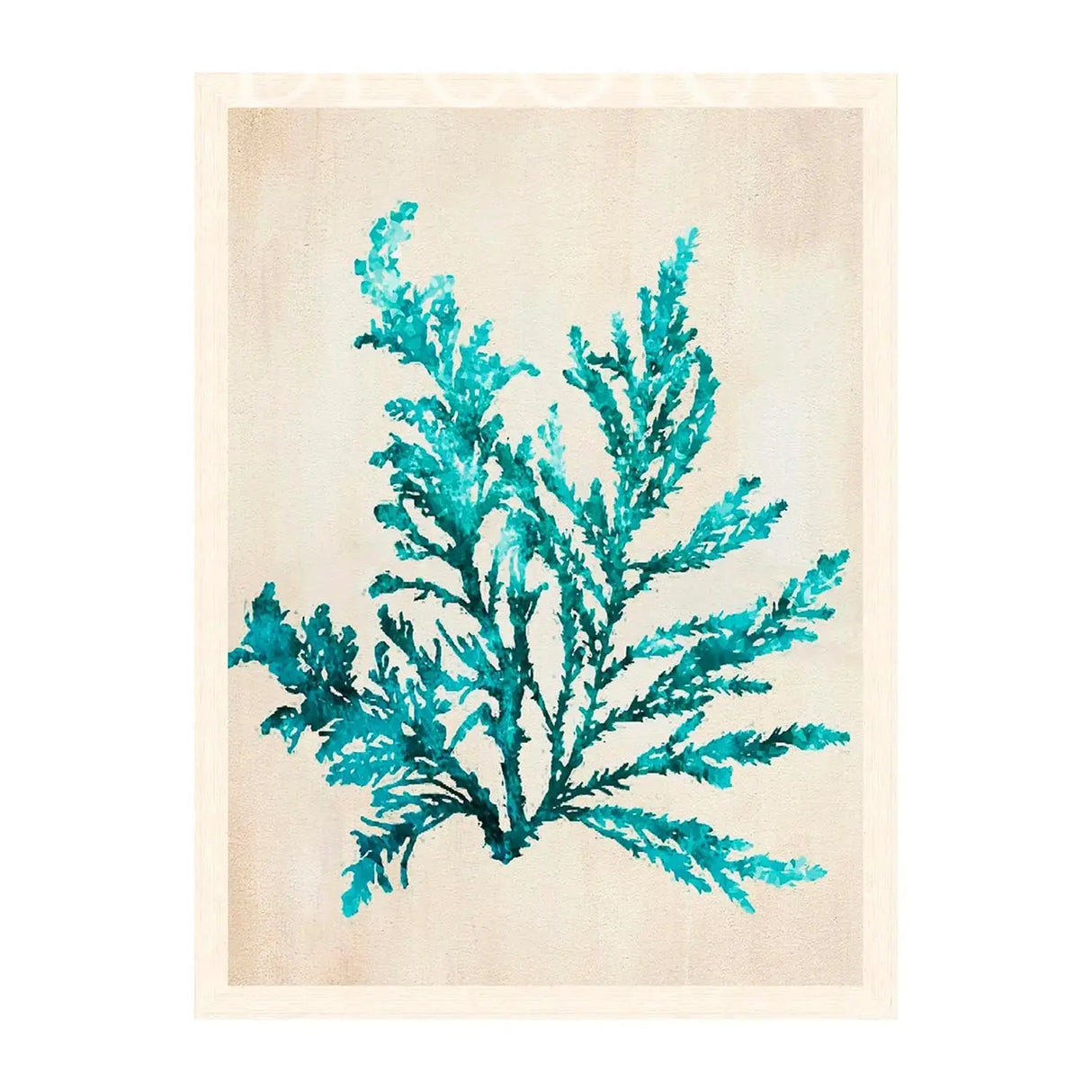 Cuadro coral calipso