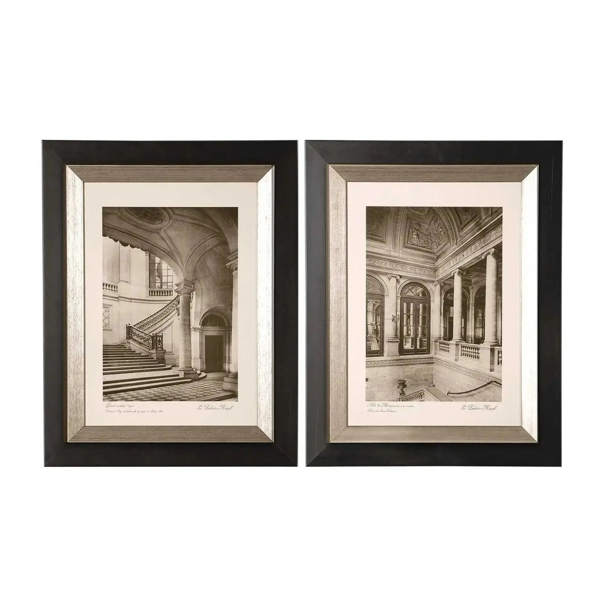 Cuadros de Moonlight Ferns