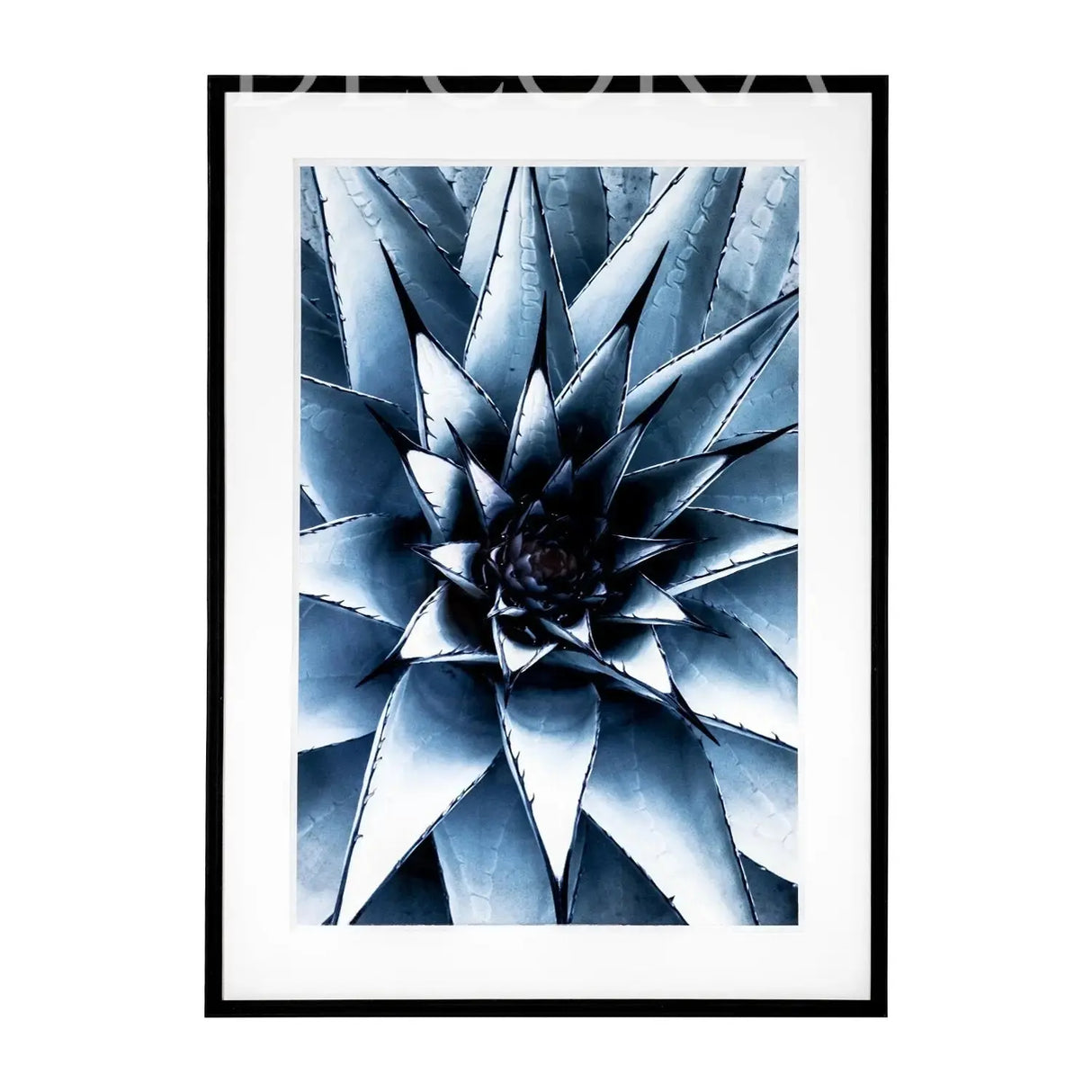 Cuadro Nórdico Suculenta abierta