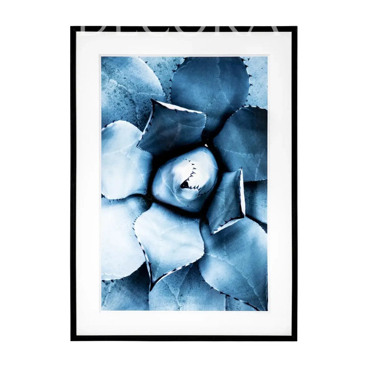 Cuadro Nórdico Suculenta cerrada