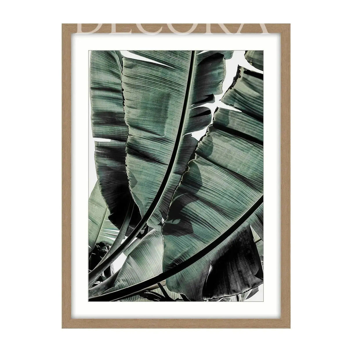 Cuadro Palmas Green Re Decora