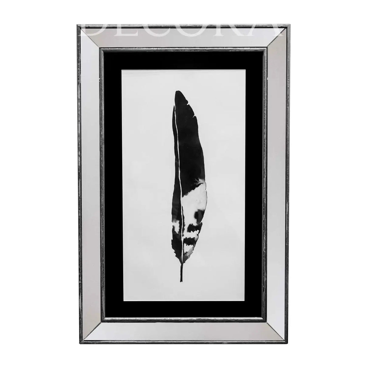 Cuadro Pluma Marco Espejo