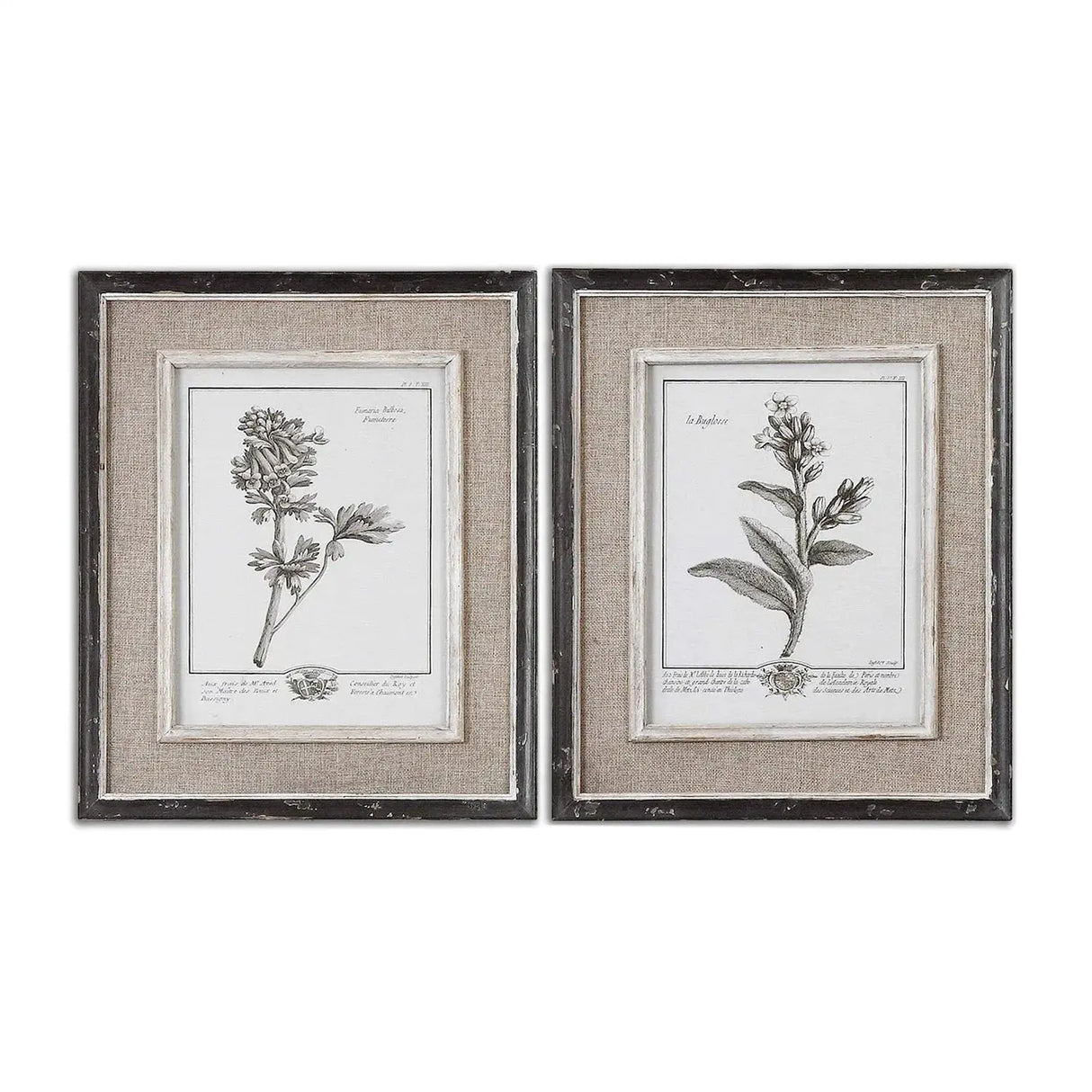 Cuadro de Botánicas - Set de 2
