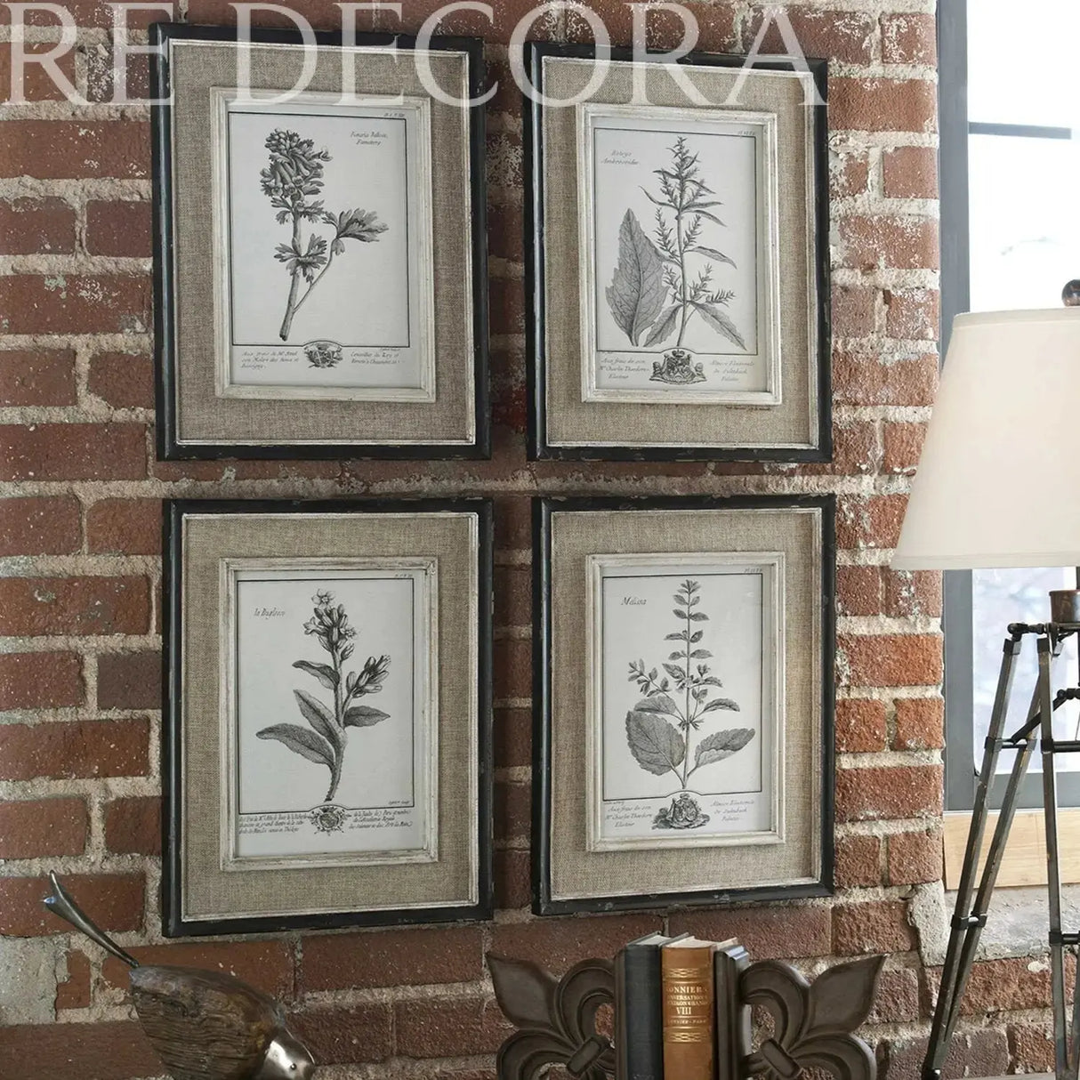 Cuadro de Botánicas