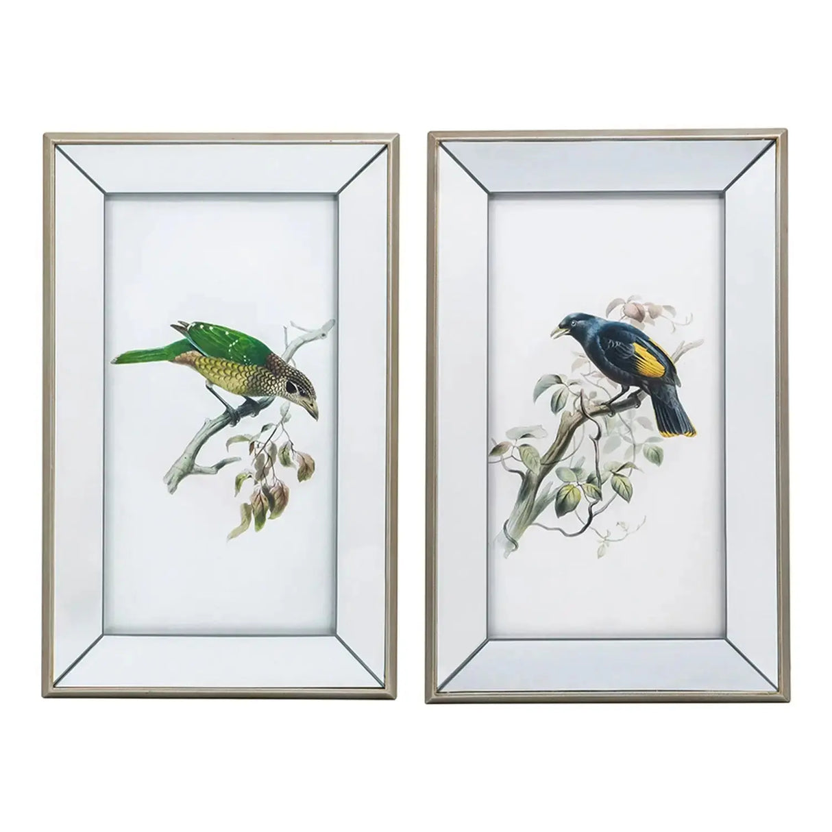 Cuadro de Pájaros Marco Espejo -