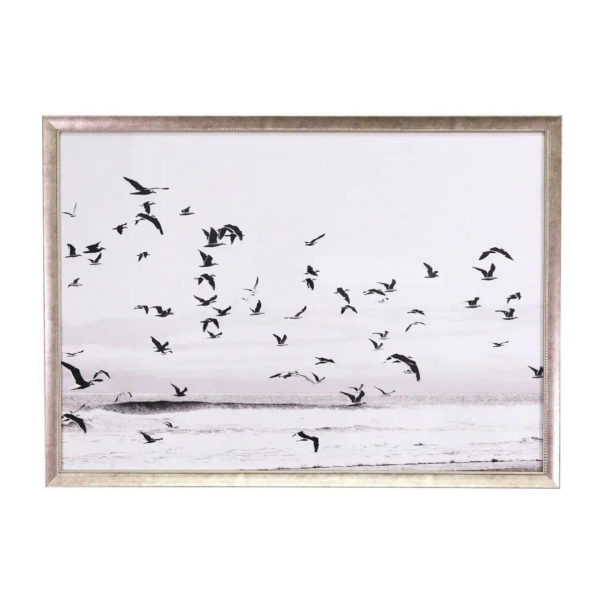 Cuadros Aves Blanco y Negro