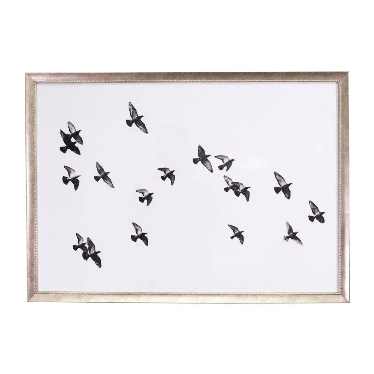 Cuadros Aves Blanco y Negro