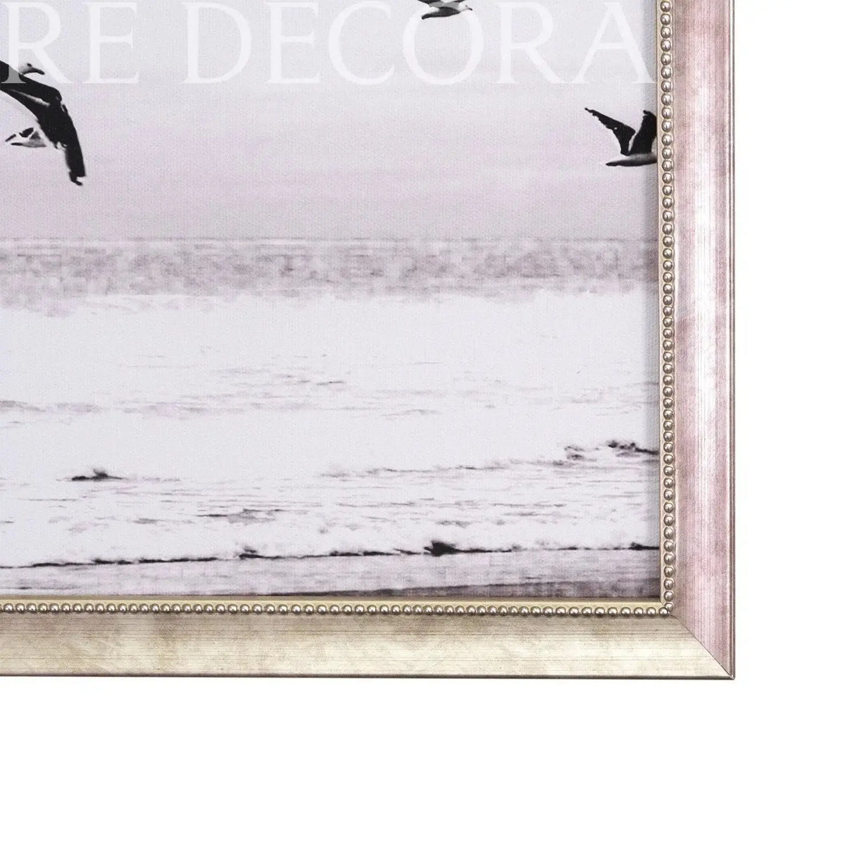 Cuadros Aves Blanco y Negro