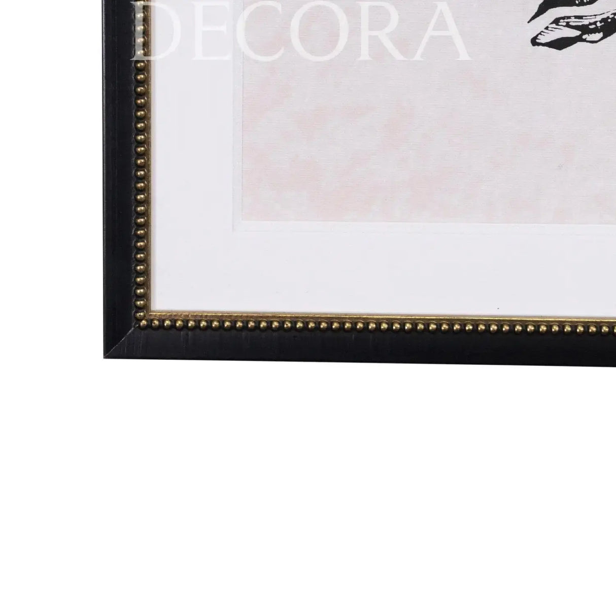 Cuadros Aves Country