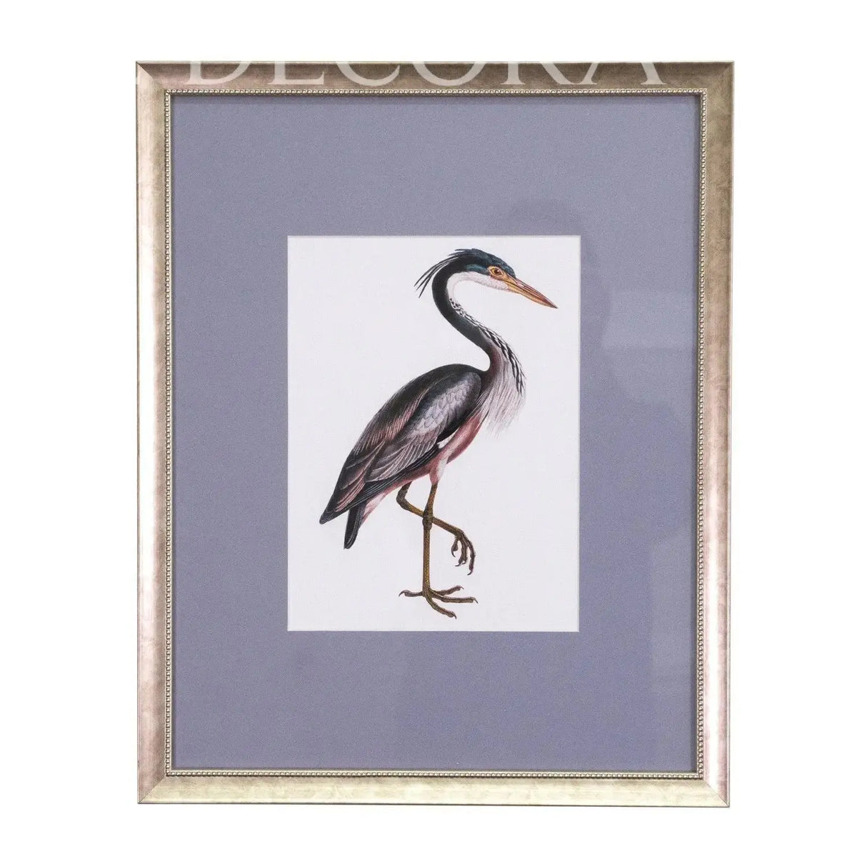 Cuadros Aves de Libro Re Decora