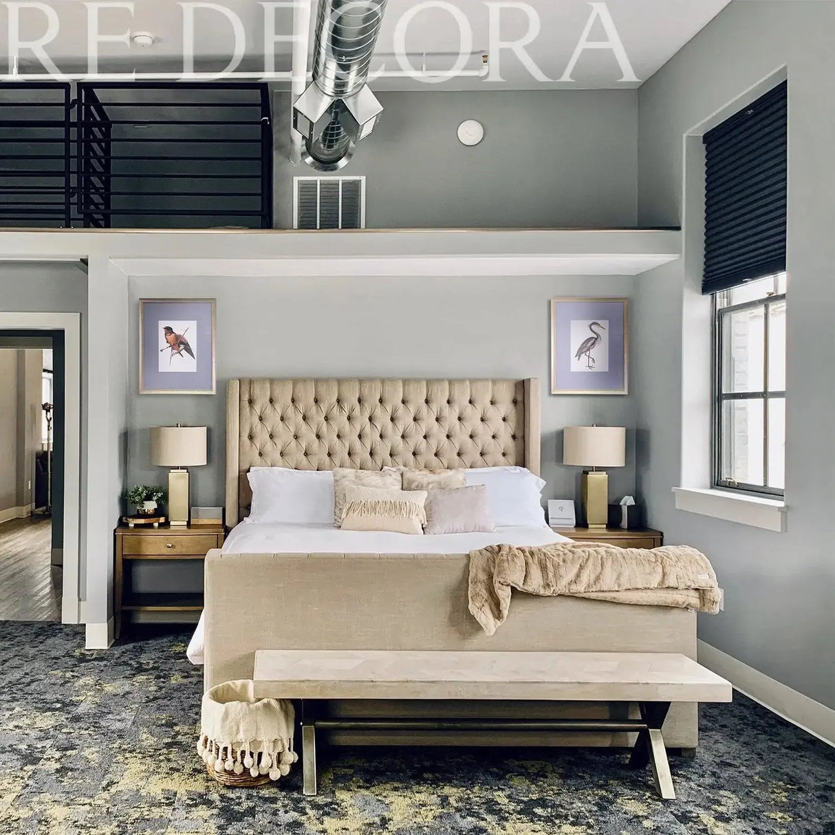 Cuadros Aves de Libro