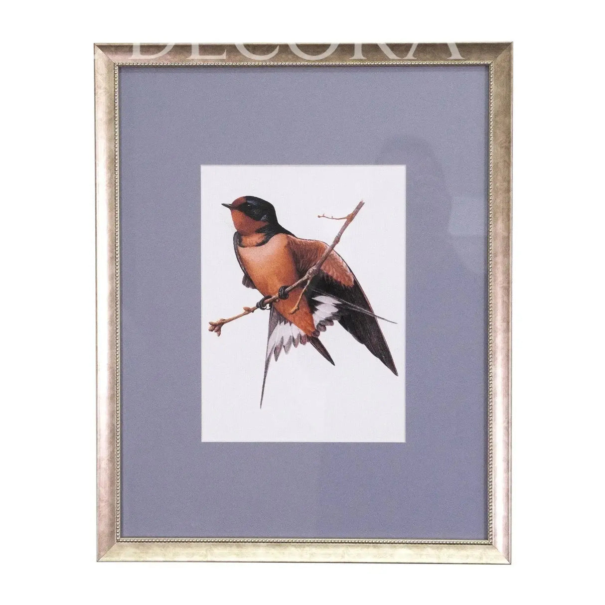 Cuadros Aves de Libro Re Decora