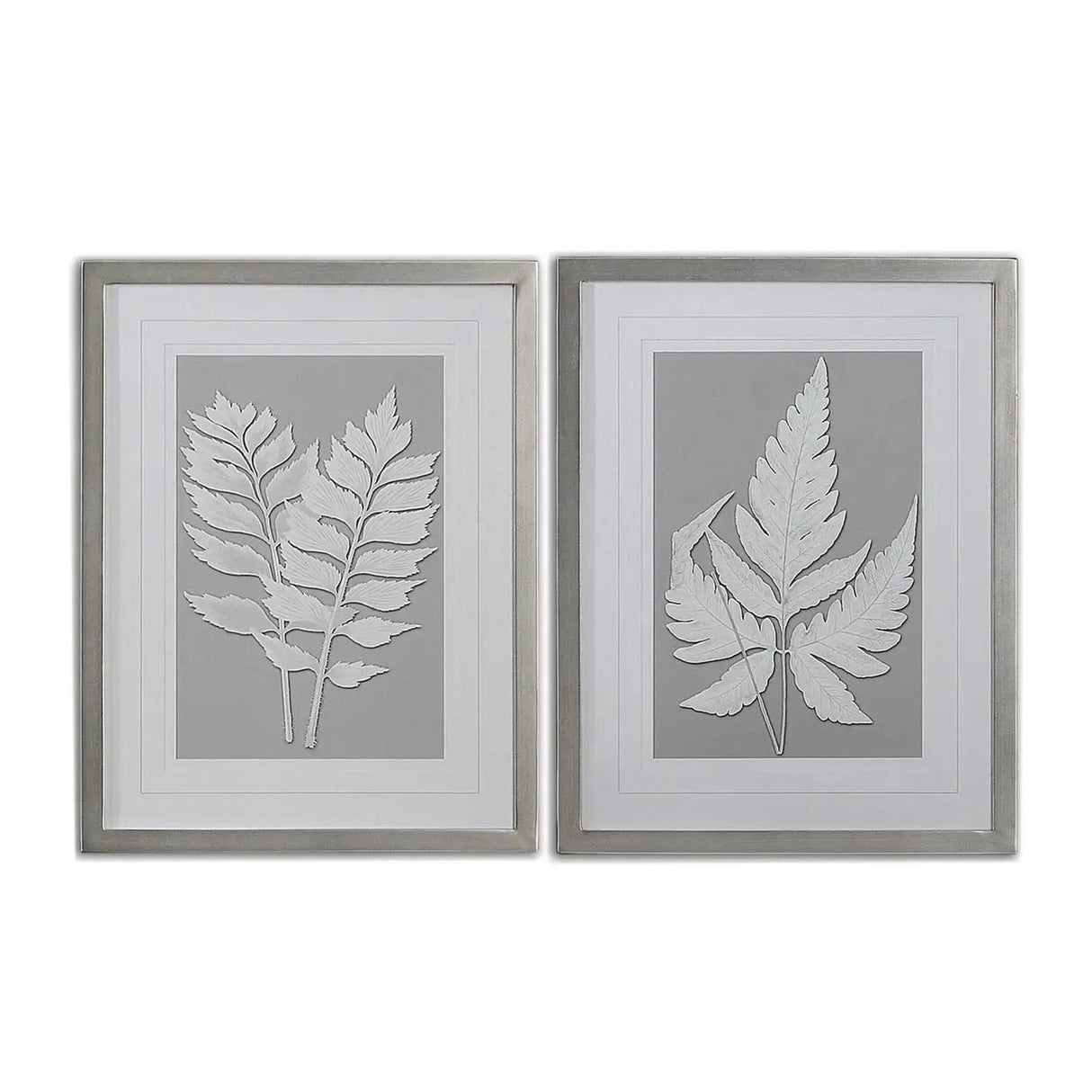 Cuadros de Moonlight Ferns