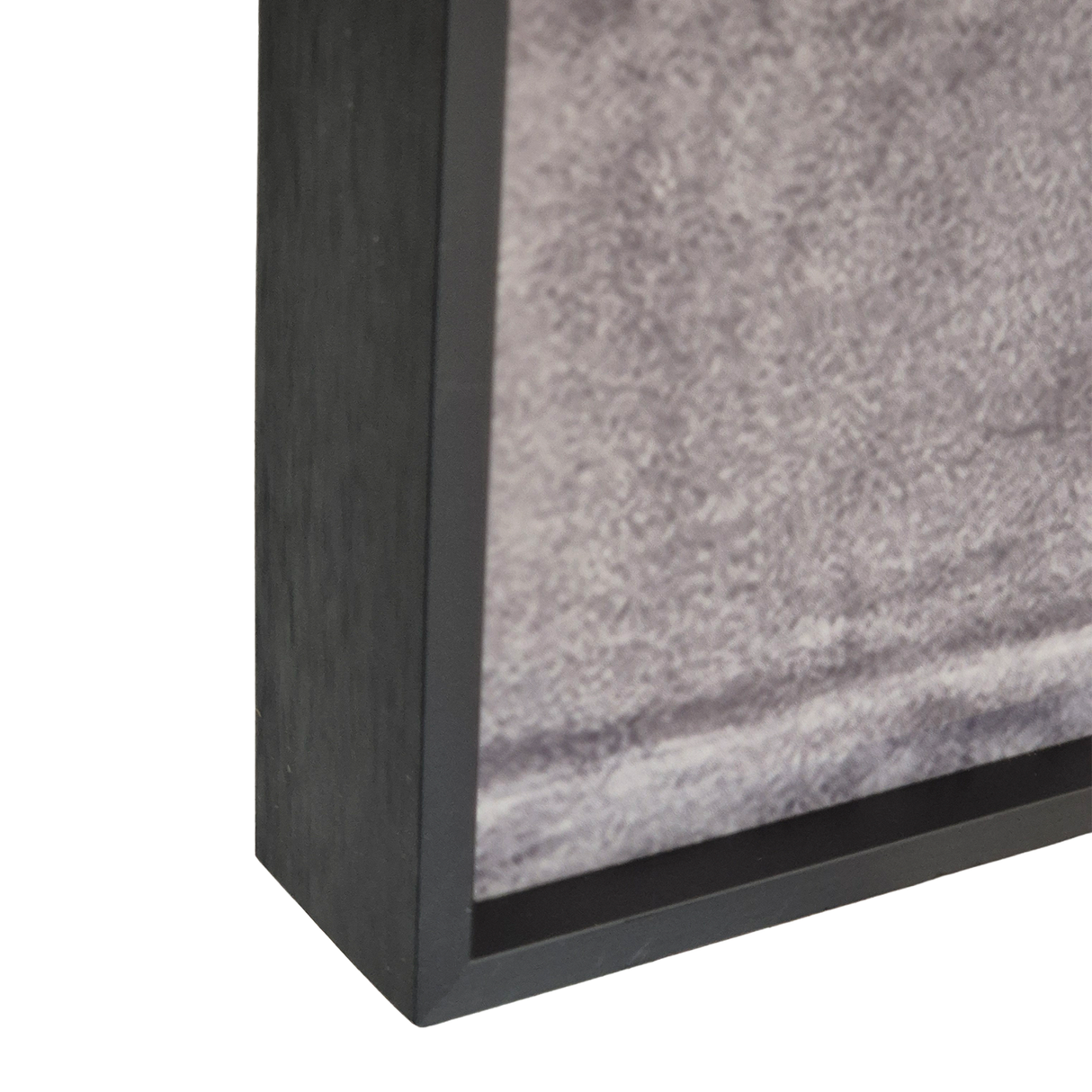 Cuadro Decorativo Cebra Ascendente