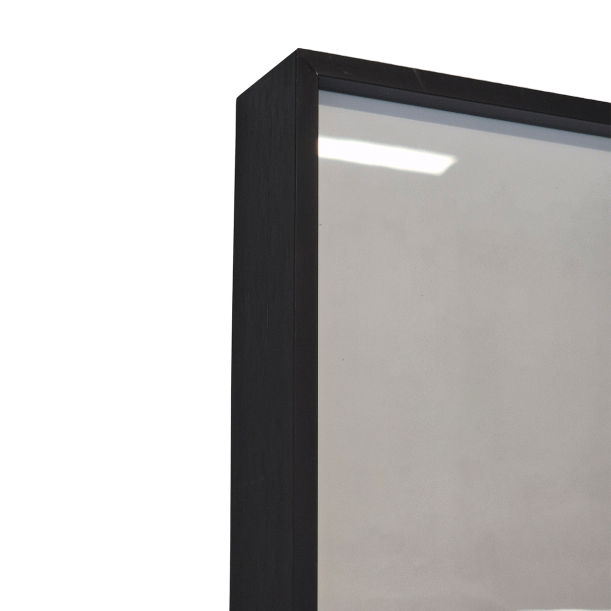 Cuadro Decorativo Cebra Ascendente