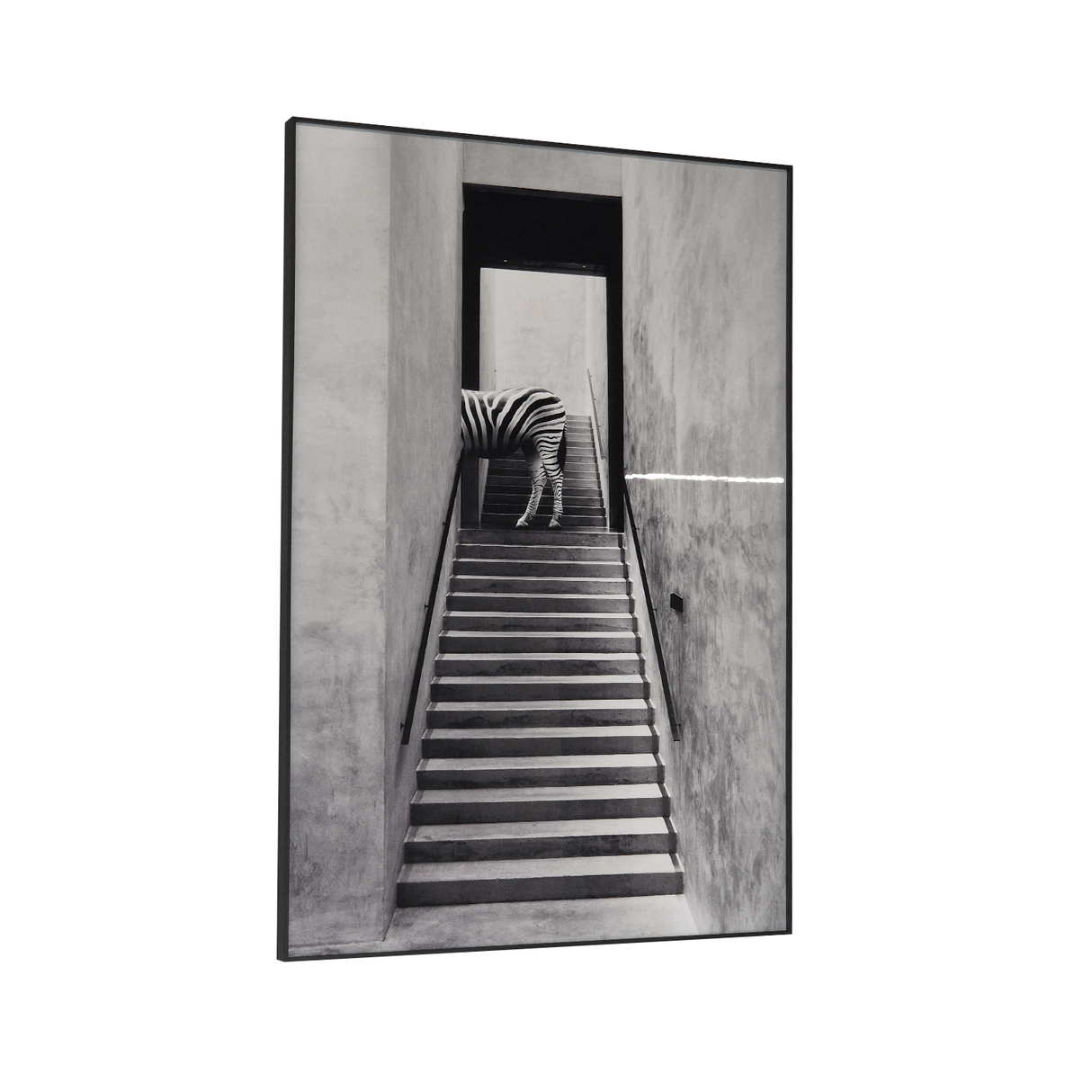 Cuadro Decorativo Cebra Ascendente