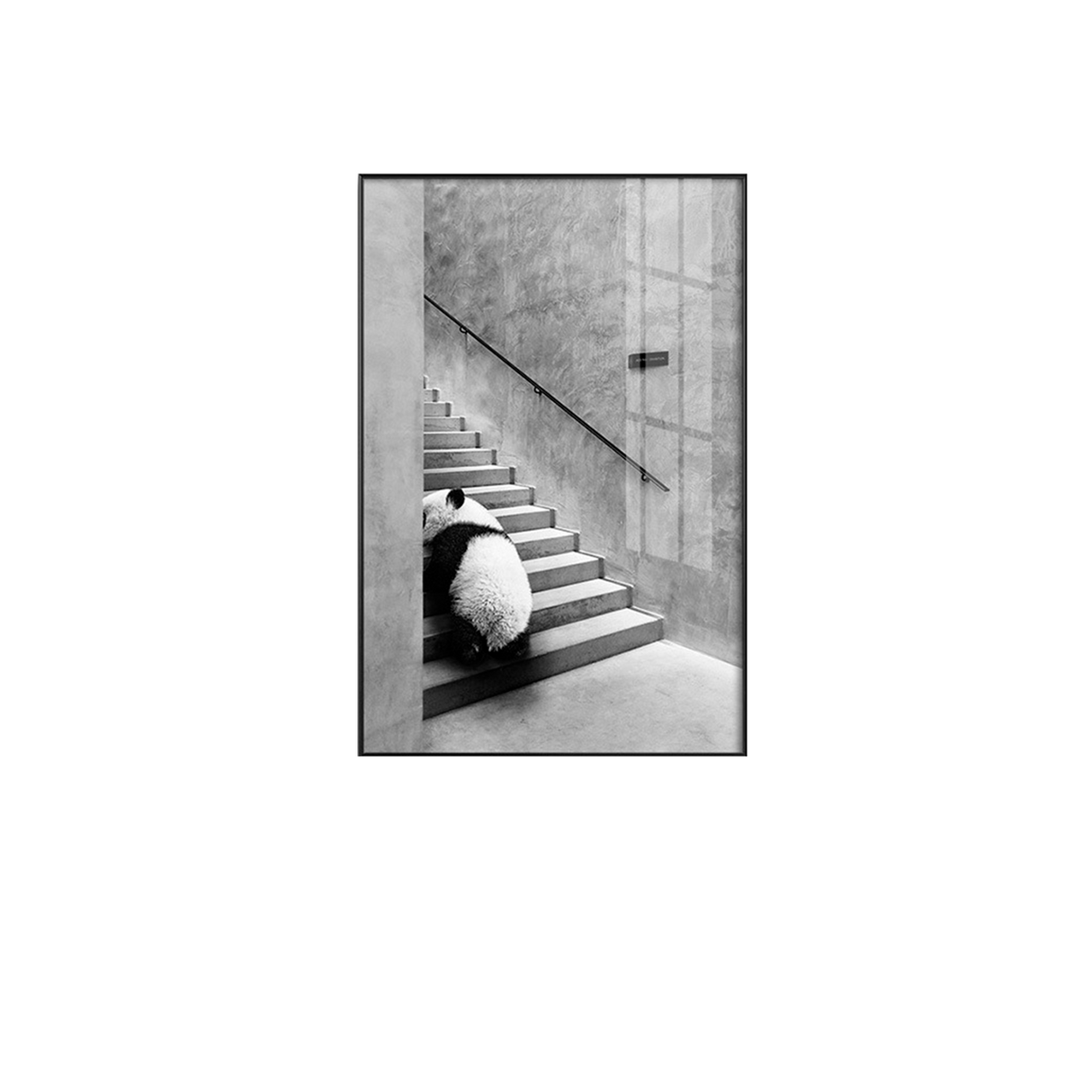 Cuadro Decorativo Panda Bihua