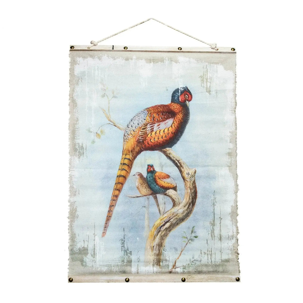 Lienzos Aves Exóticas Re Decora