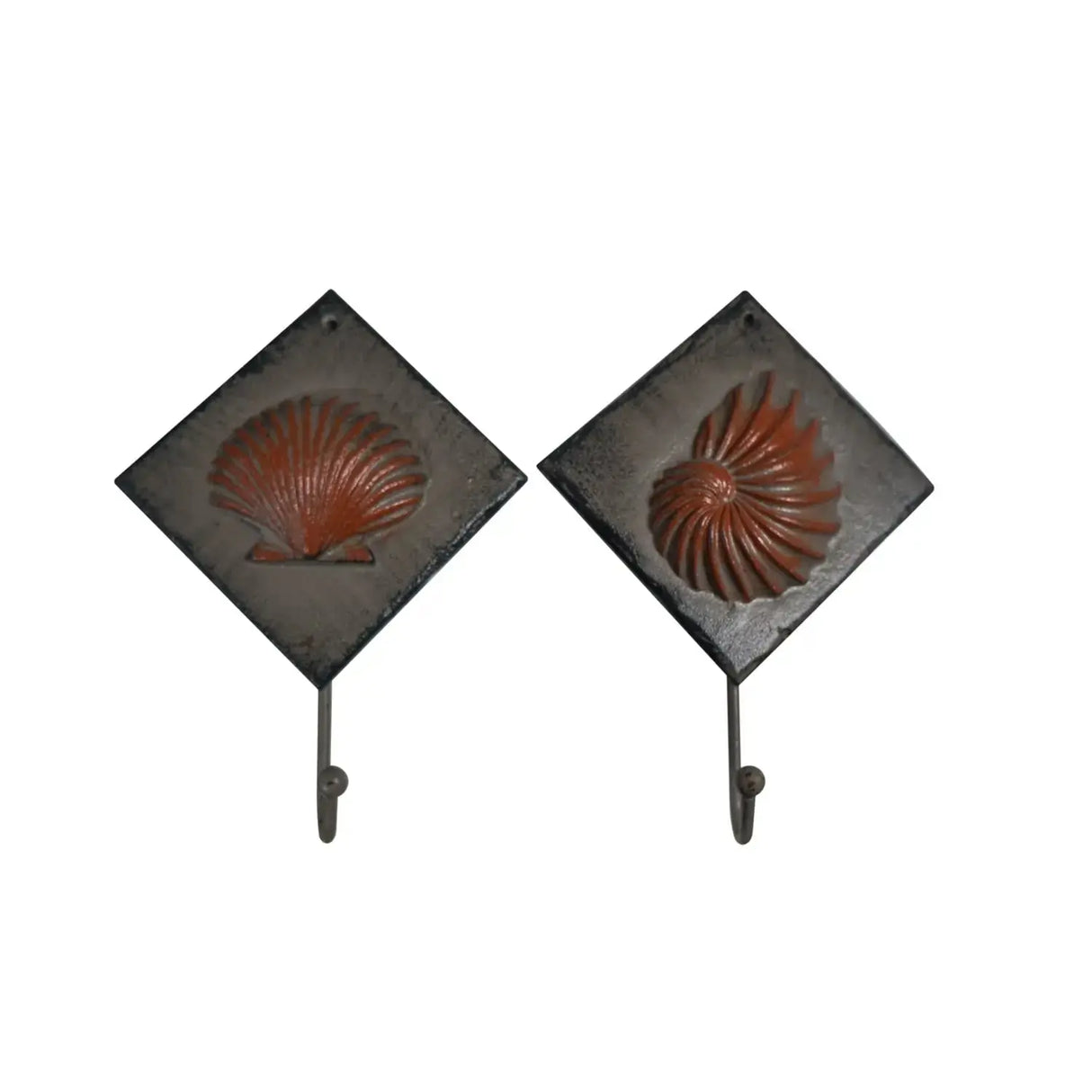 Perchero Conchas Surt - Set de 2 Re Decora