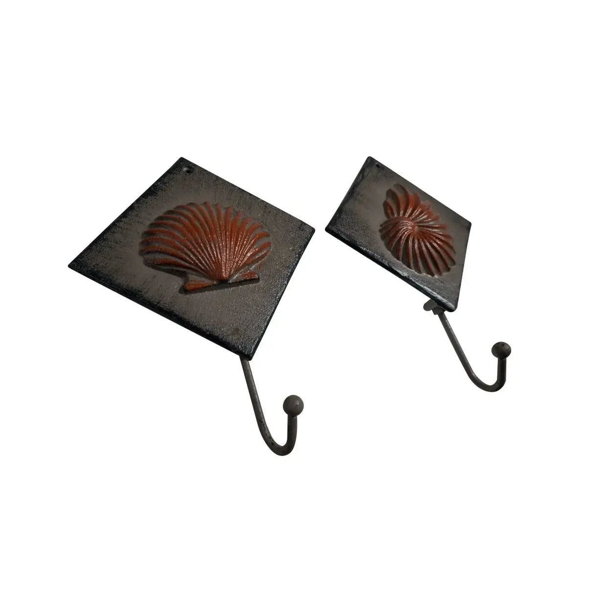 Perchero Conchas Surt - Set de 2 Re Decora