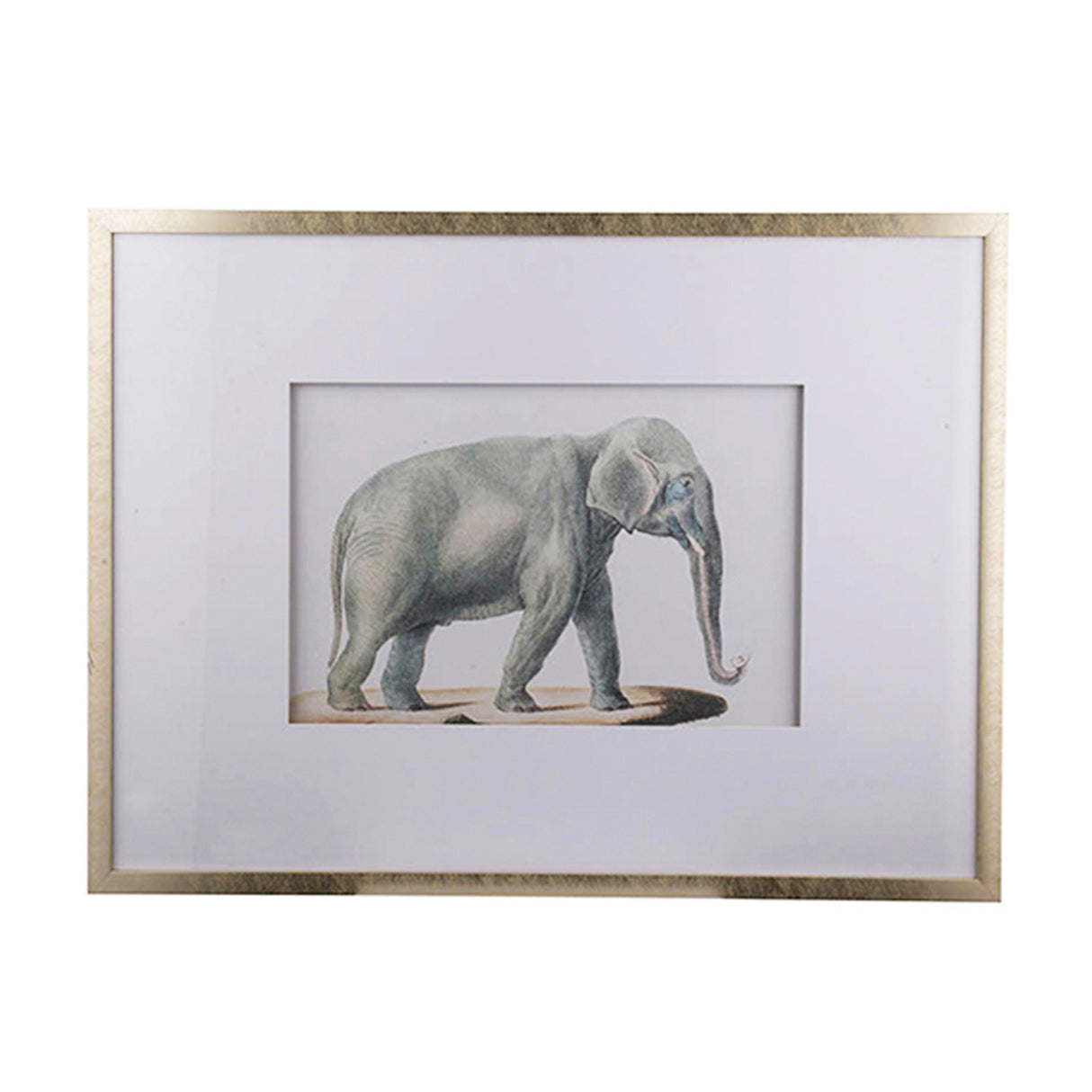 Cuadro de Elefante Re Decora