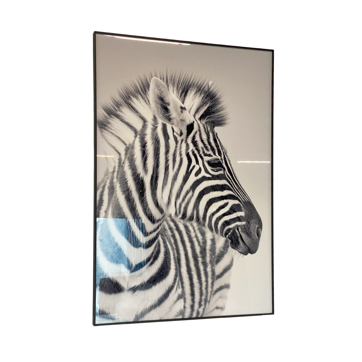 Cuadro Decorativo Cebra Perfil