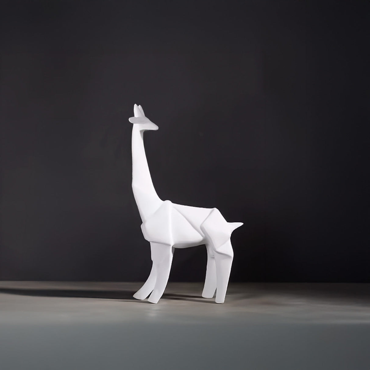 Jirafa Northern Kelida Porcelana