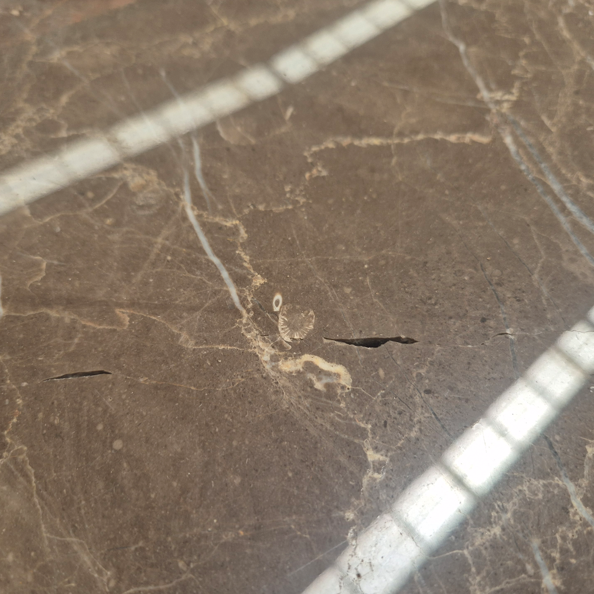 Mesas de centro Nido Doré - Set de 2 Outlet S/CAMBIO NI DEVOLUCIÓN Re Decora