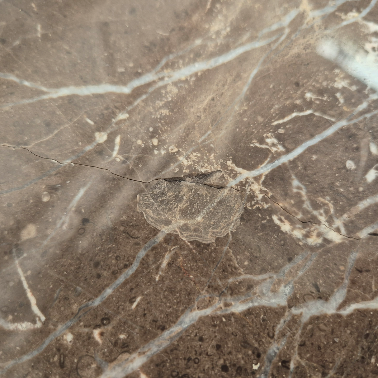 Mesas de centro Nido Doré - Set de 2 Outlet S/CAMBIO NI DEVOLUCIÓN Re Decora