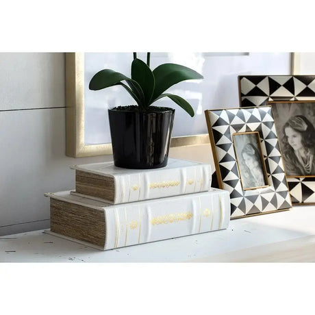 Caja Libro Francia - Set de 2 Re Decora