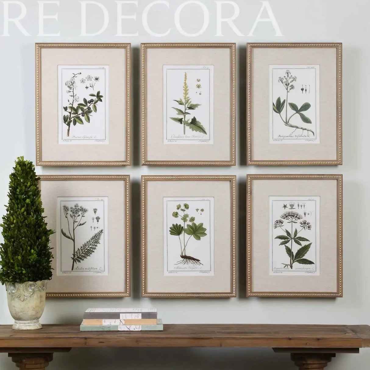 Cuadro Botánico Floral Verde - Set de 2 Re Decora