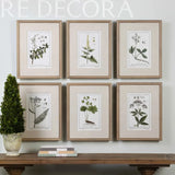 Cuadro Botánico Floral Verde - Set de 2 Re Decora