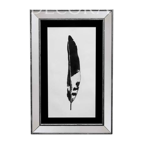 Cuadro Pluma Marco Espejo 