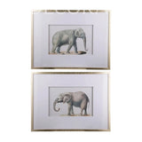 Cuadro de Elefante - Set de 2 Re Decora