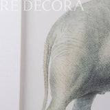 Cuadro de Elefante - Set de 2 Re Decora