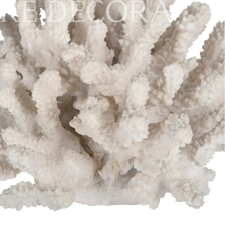 Escultura de Coral Blanco Re Decora