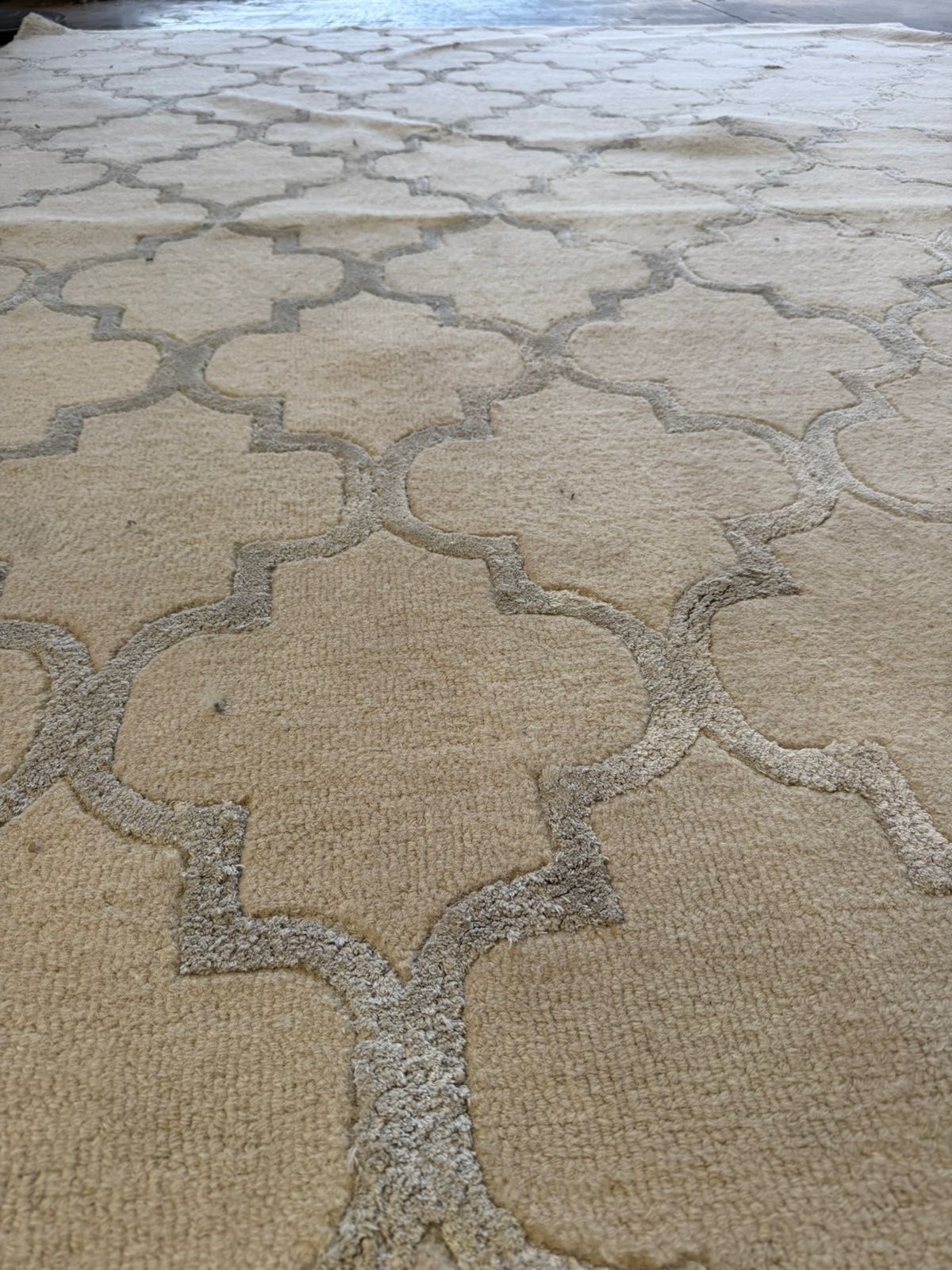 Alfombra Decorativa Roma 330x240cm Outlet S/CAMBIO NI DEVOLUCIÓN