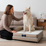 Cama Magnific para Mascotas